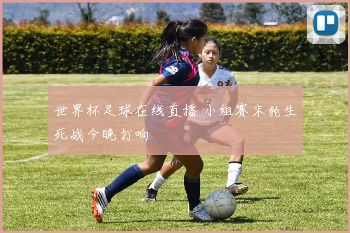 世界杯足球在线直播 小组赛末轮生死战今晚打响