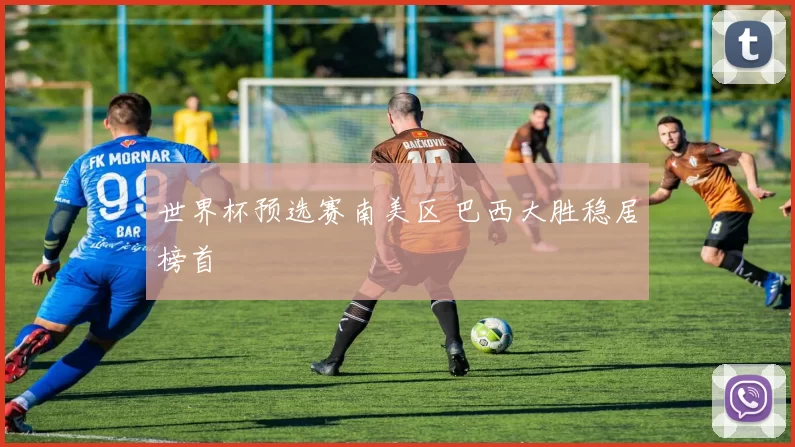 世界杯预选赛南美区 巴西大胜稳居榜首