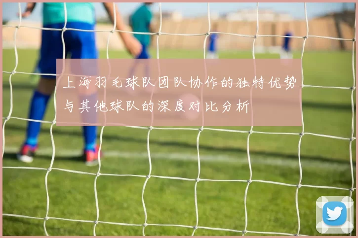 上海羽毛球队团队协作的独特优势与其他球队的深度对比分析