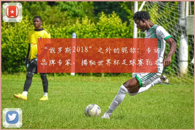 “俄罗斯2018”之外的昵称：专访品牌专家，揭秘世界杯足球赛乳名的传播策略
