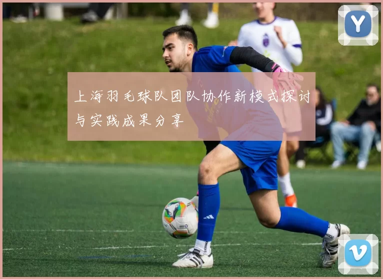 上海羽毛球队团队协作新模式探讨与实践成果分享