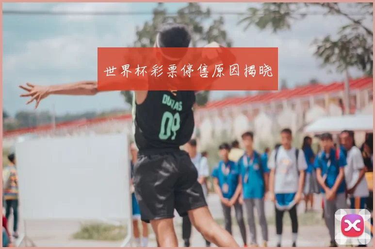 世界杯彩票停售原因揭晓