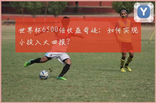 世界杯6500倍收益奇迹：如何实现小投入大回报？