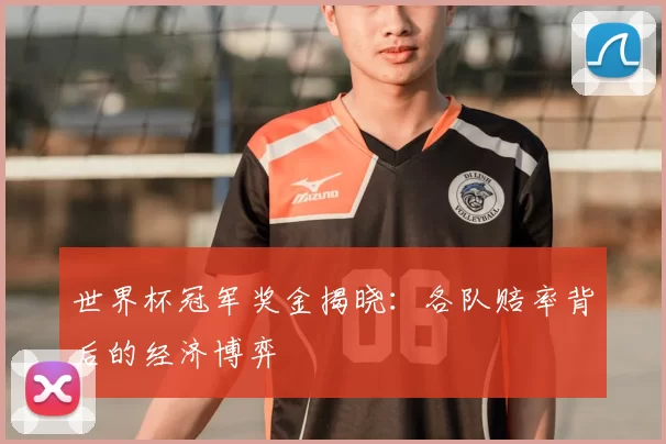 世界杯冠军奖金揭晓：各队赔率背后的经济博弈